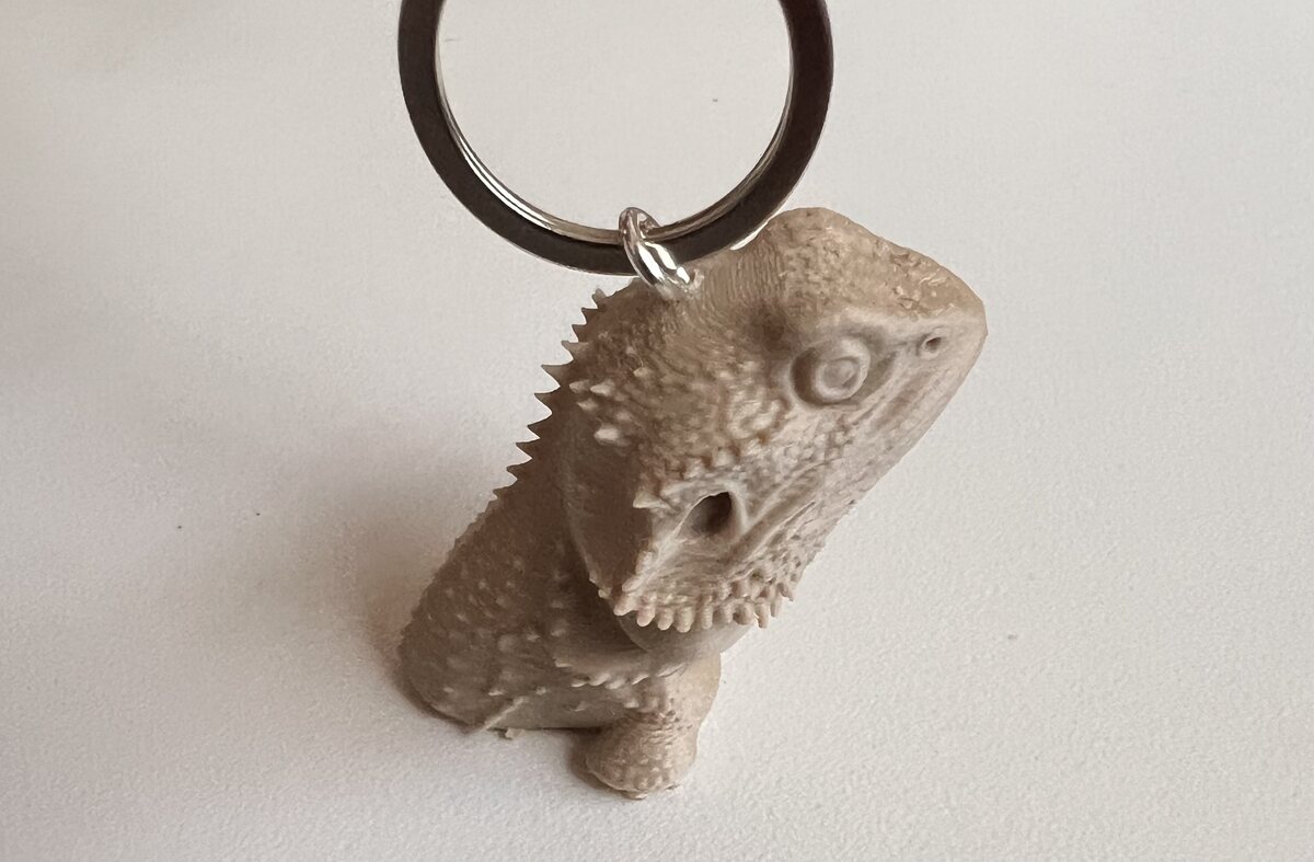 Bearded dragon custom keychain