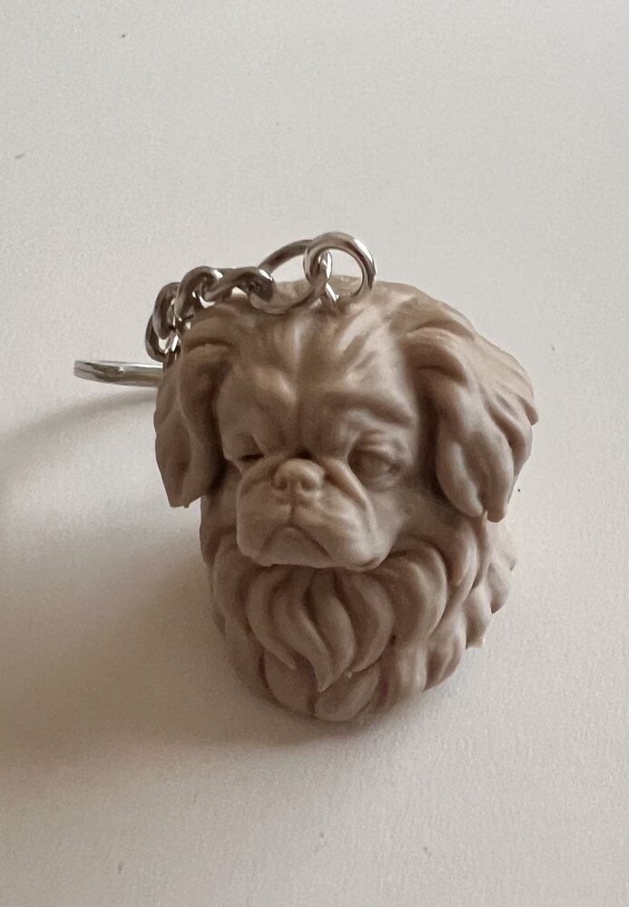 Custom pet keychain