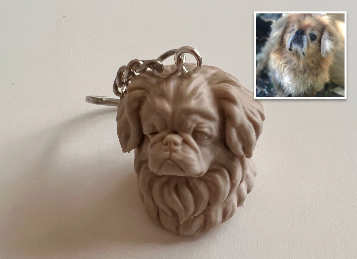 A Pekingese dog's photo beside the 3D-printed keychain bust sculpted from it